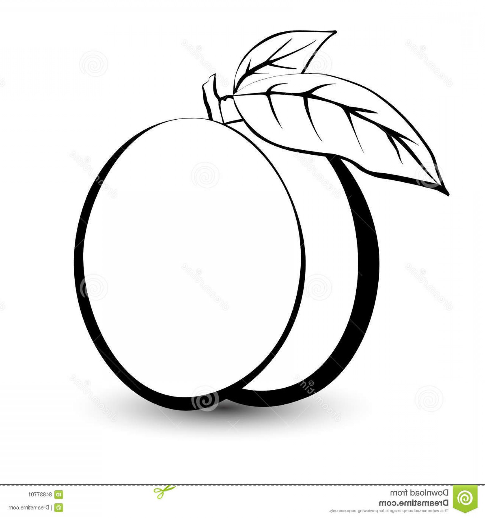 Peach Clip Art Black And White