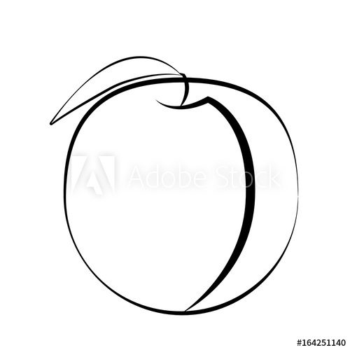 Peach Fruit With Leaf On A White Background White Fruit 500x500 Peach Fruit With Leaf On A White Background White Fruit