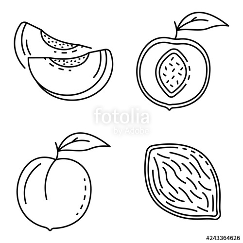 500x500 Peach Icons Set Outline Set Of Peach Vector Icons For Web Design