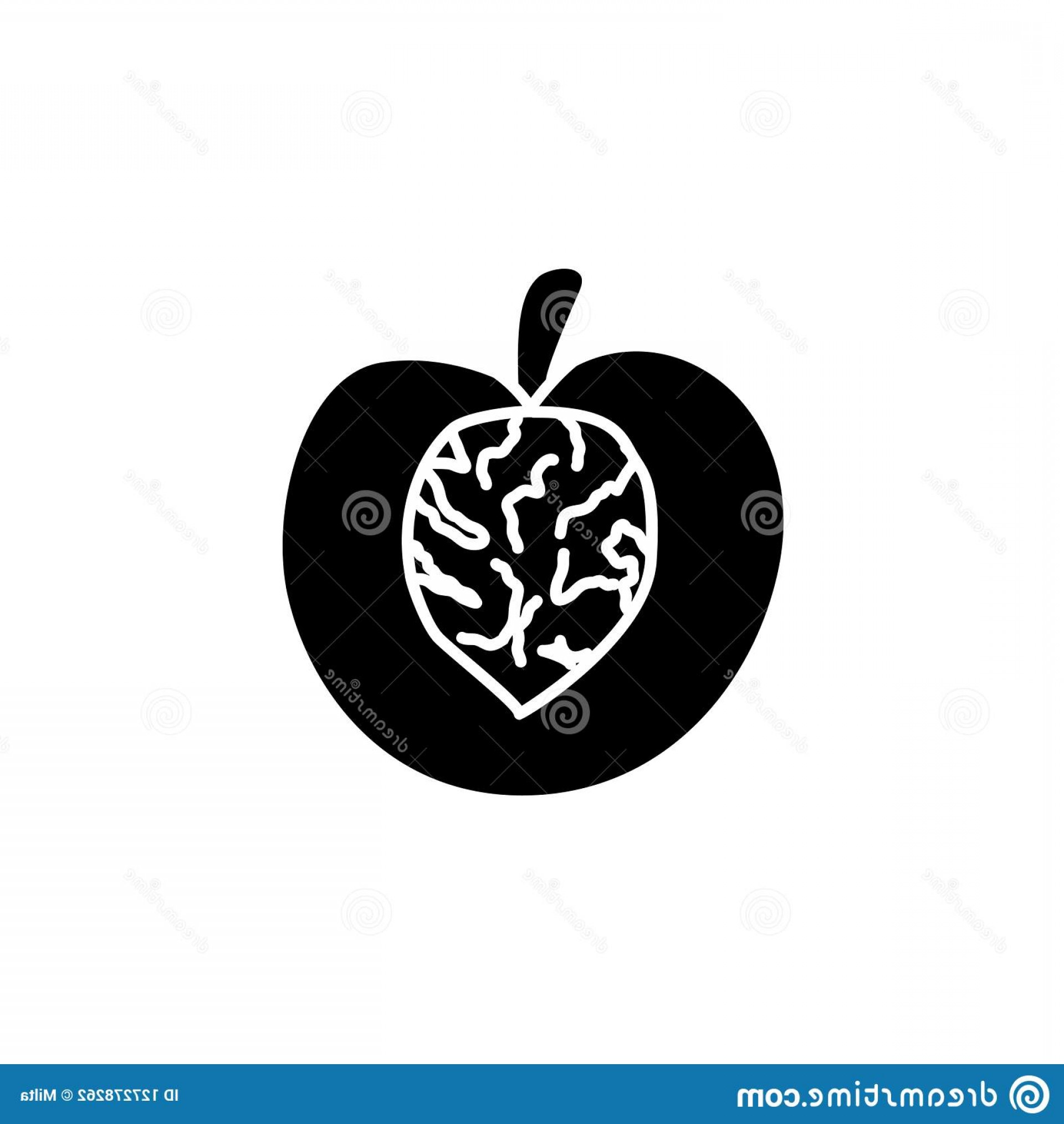 Black White Vector Illustration Cut Peach Seed Flat I Black White 1920x2028 Black White Vector Illustration Cut Peach Seed Flat I Black White