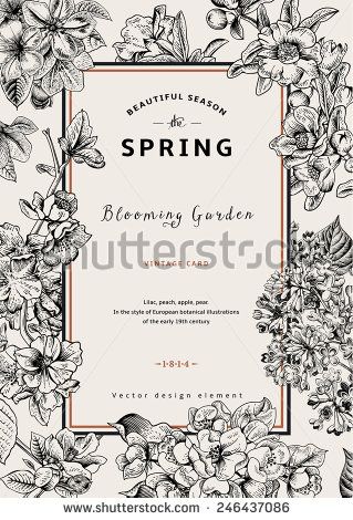 Vintage Vector Vertical Card Spring Black And White Blooming 319x470 Vintage Vector Vertical Card Spring Black And White Blooming