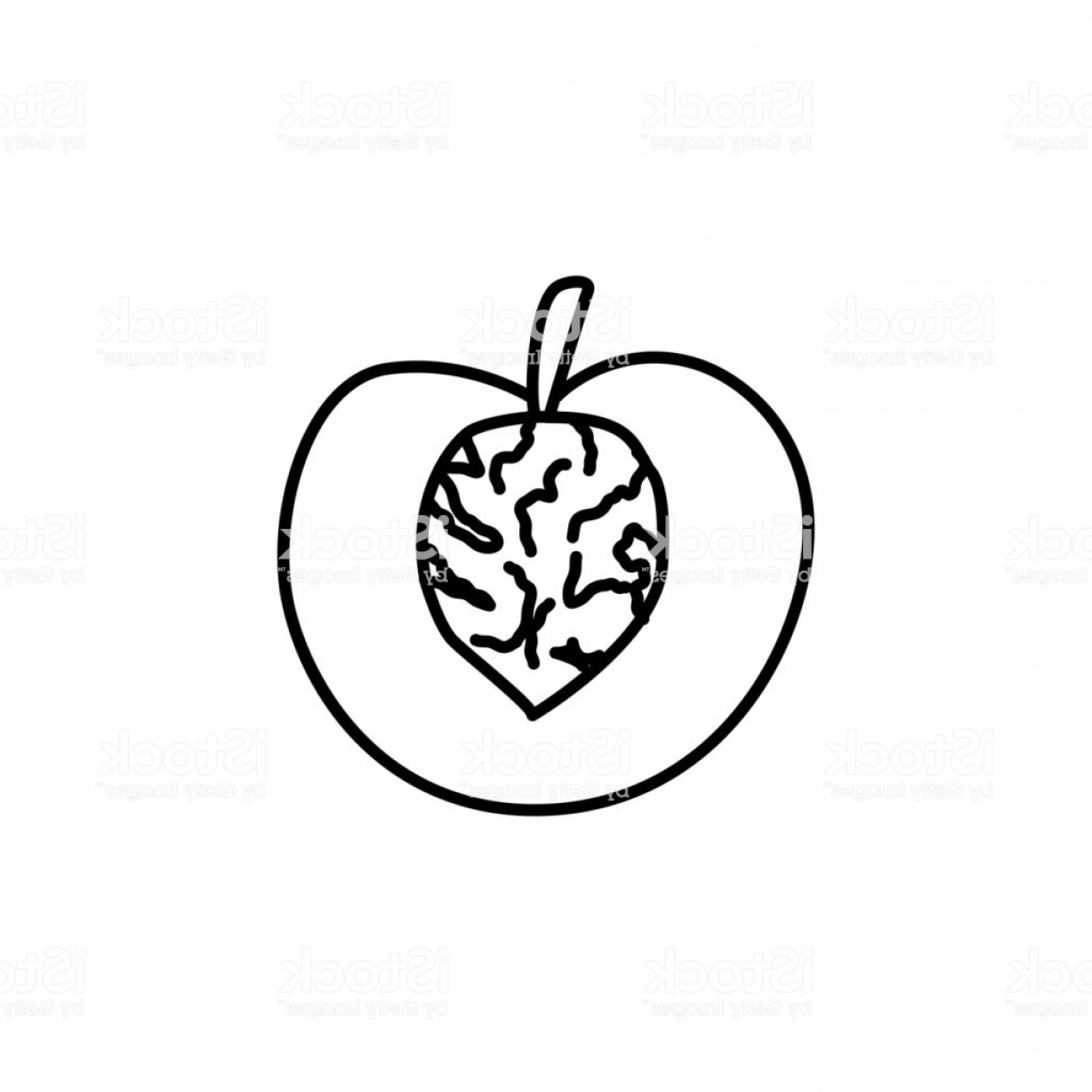Black White Vector Illustration Of Cut Peach With Seed Line Icon 1228x1228 Black White Vector Illustration Of Cut Peach With Seed Line Icon