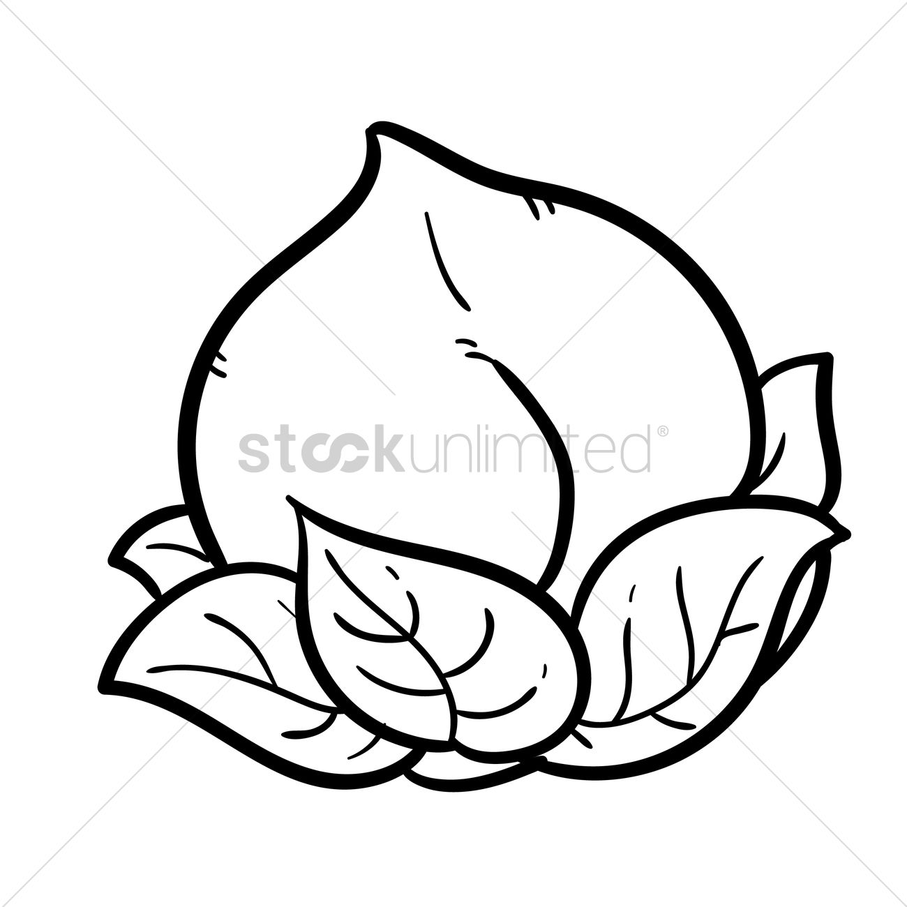 Chinese Peach Vector Image 1300x1300 Chinese Peach Vector Image