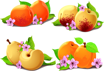 Fresh Pear And Peach Vector Free Vector Downloads Site 'give' 340x232 Fresh Pear And Peach Vector Free Vector Downloads Site 'give'