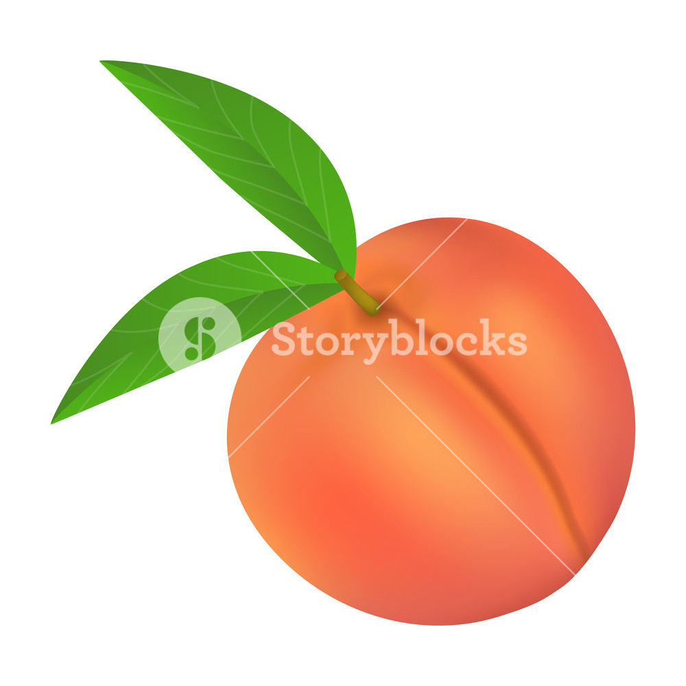 Fresh Peach Icon Realistic Illustration Of Fresh Peach Vector 1000x1000 Fresh Peach Icon Realistic Illustration Of Fresh Peach Vector