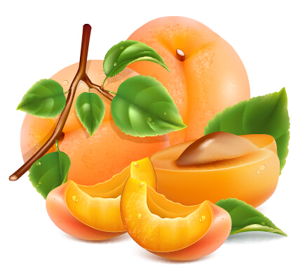 Juicy Peach And Green Leaf Vector Material Free Download 435x390 Juicy Peach And Green Leaf Vector Material Free Download