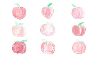 Peach Background Free Vector Art 333x200 Peach Background Free Vector Art