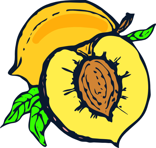 Peach Clip Art 600x567 Peach Clip Art