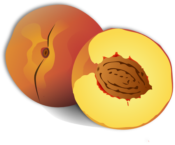 Peach Clipart Vector For Free Download And Use Images 600x498 Peach Clipart Vector For Free Download And Use Images