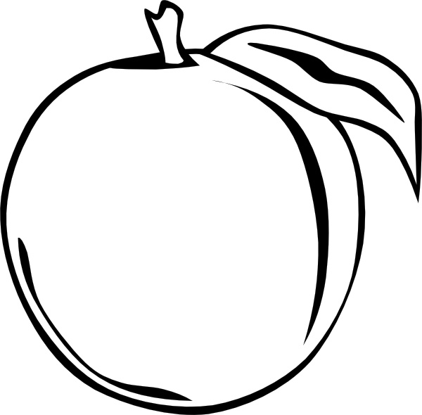 Peach Clipart Vector Graphics For Free Download And Use Images 600x590 Peach Clipart Vector Graphics For Free Download And Use Images