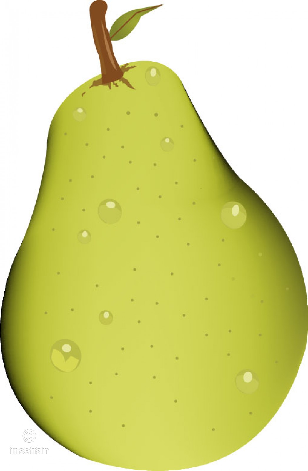 Peach Fruit Free Vector Stock Png Image 1047x1600 Peach Fruit Free Vector Stock Png Image