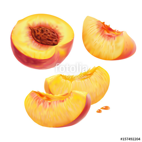 Peach Slices Peach Pit Vector Stock Image And Royalty Free 500x500 Peach Slices Peach Pit Vector Stock Image And Royalty Free