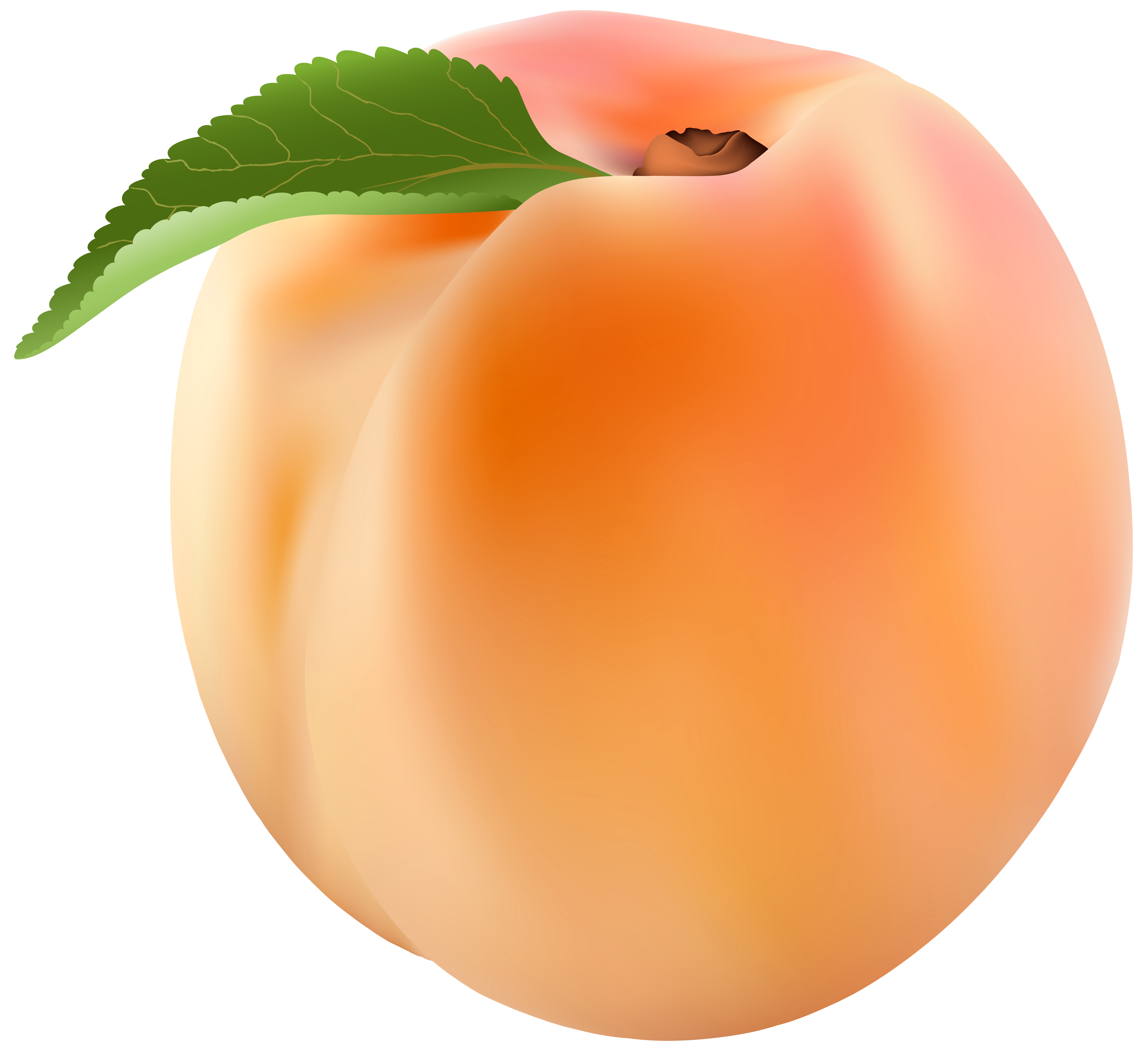 Peach Vector Clipart Images Gallery For Free Download Myreal 8000x7316 Peach Vector Clipart Images Gallery For Free Download Myreal