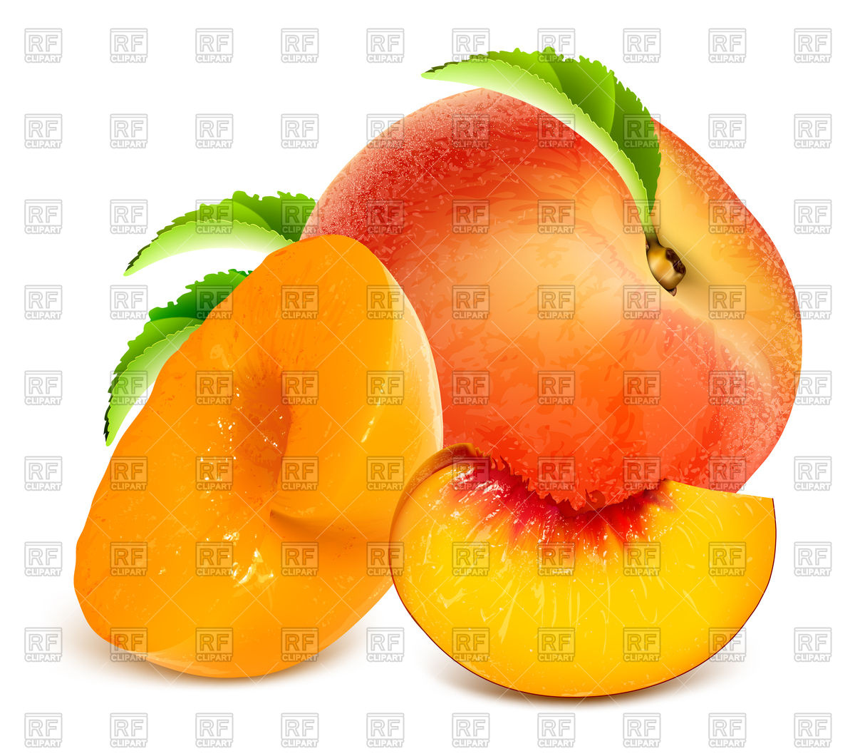 Ripe Peaches Vector Image Of Food And Beverages Ivelly 1200x1060 Ripe Peaches Vector Image Of Food And Beverages Ivelly
