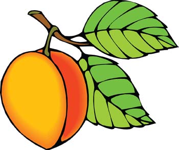 Vector Clipart Fruit Free Peach Clip Art Library 350x293 Vector Clipart Fruit Free Peach Clip Art Library