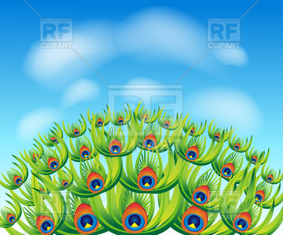 Abstract Peacock Tail Background Vector Image Of Backgrounds 400x332 Abstract Peacock Tail Background Vector Image Of Backgrounds
