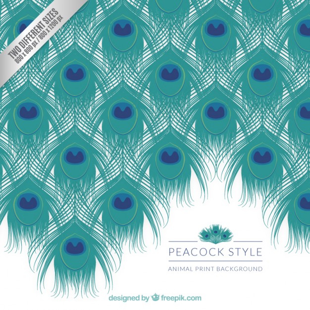Peacock Background Vectors, Photos And Free Download 626x626 Peacock Background Vectors, Photos And Free Download