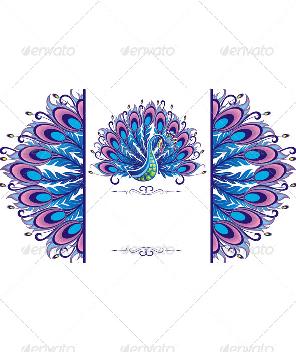 Peacock Background Vectors From Graphicriver 590x700 Peacock Background Vectors From Graphicriver