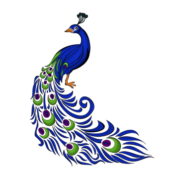 Peacock Png, Vector, And Clipart With Transparent Background 360x360 Peacock Png, Vector, And Clipart With Transparent Background