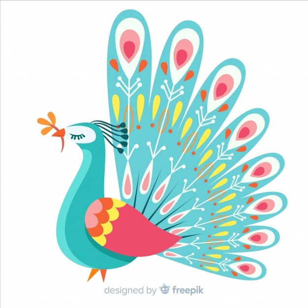 Peacock Vectors, Photos And Free Download 626x626 Peacock Vectors, Photos And Free Download
