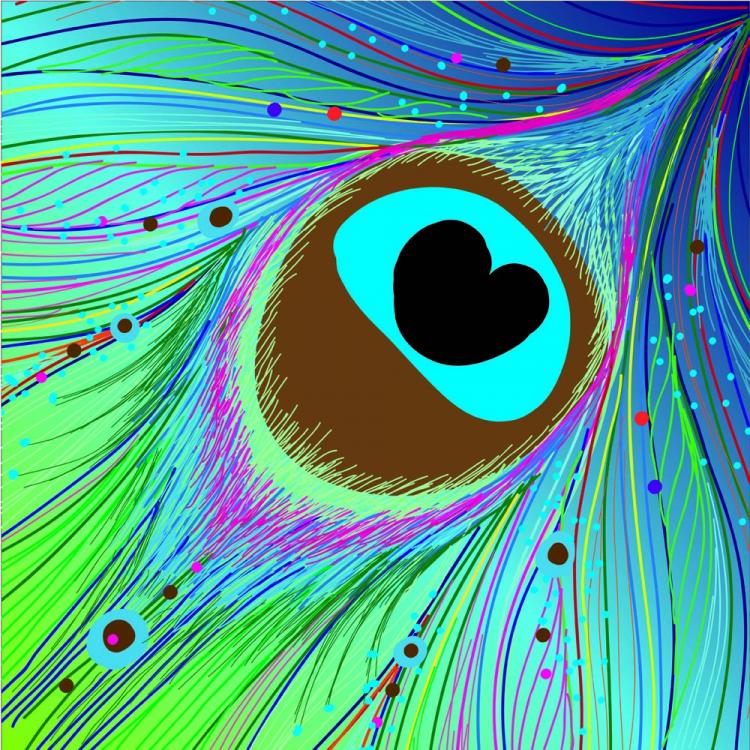 Peacock Feather Lines Background 750x750 Peacock Feather Lines Background