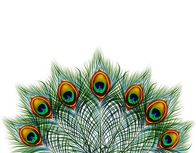 Set Of Peacock Feather Backgrounds Drawings In Feather 404x316 Set Of Peacock Feather Backgrounds Drawings In Feather