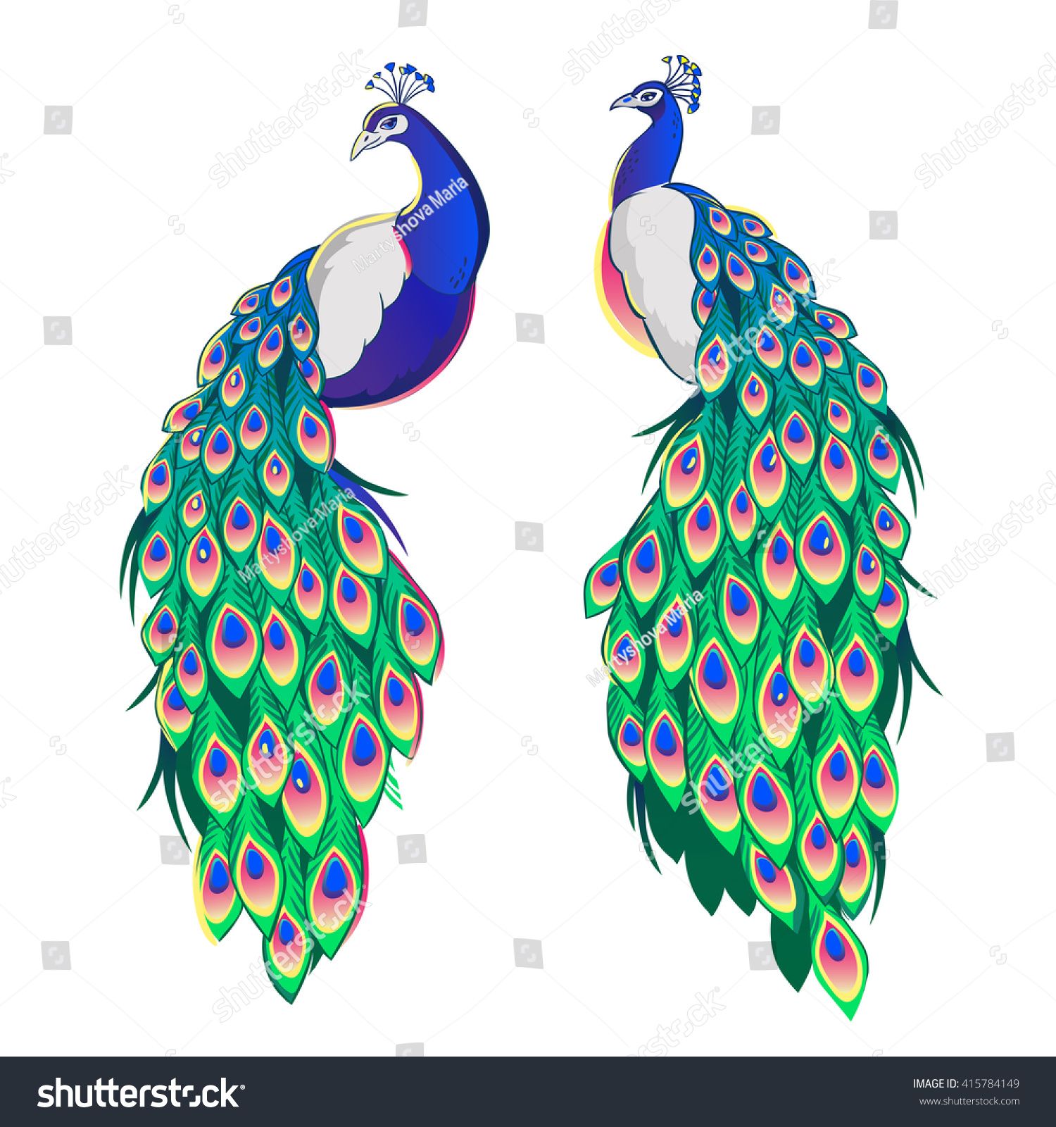 Set Of Two Peacocks Isolated On White Background Vector 1500x1600 Set Of Two Peacocks Isolated On White Background Vector