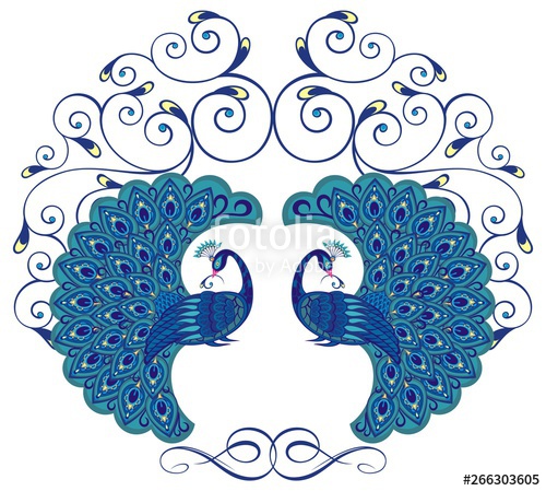 Two Peacocks Isolated On White Background Vector Illustration 500x449 Two Peacocks Isolated On White Background Vector Illustration
