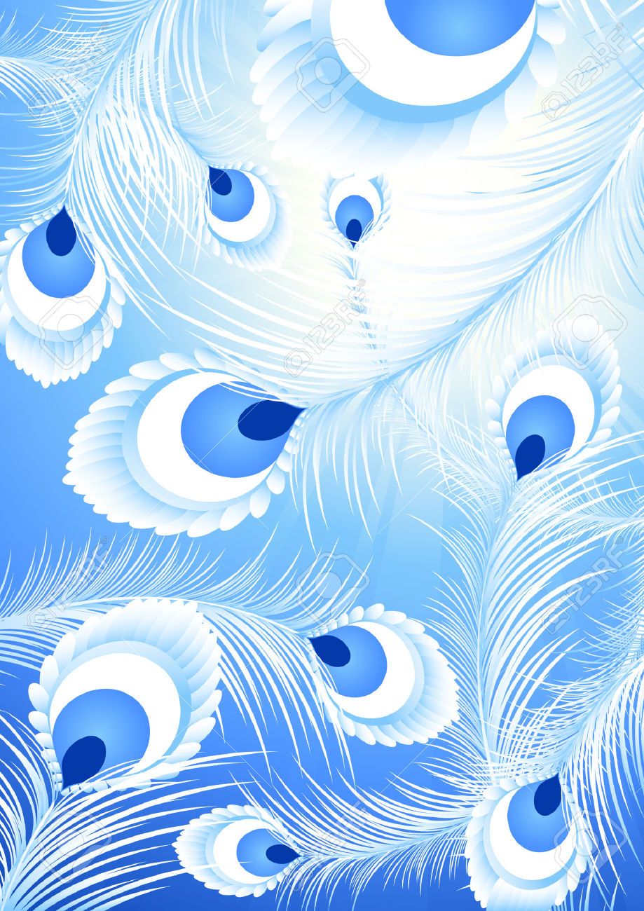 White Peacock Feather Background,vector Illustration 919x1300 White Peacock Feather Background,vector Illustration