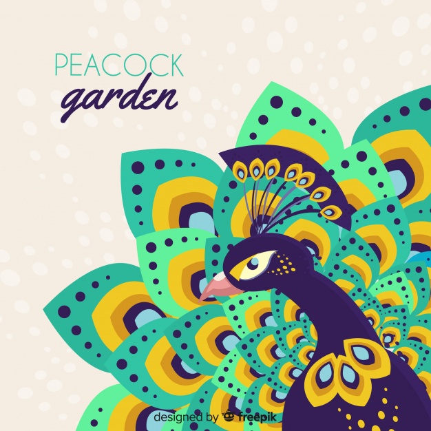 Beautiful Peacock Background Vector Free Download 626x626 Beautiful Peacock Background Vector Free Download