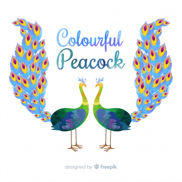 Lovely Peacock Background Vector Free Download 626x626 Lovely Peacock Background Vector Free Download