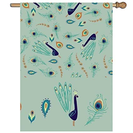 Peacock Feather Vector