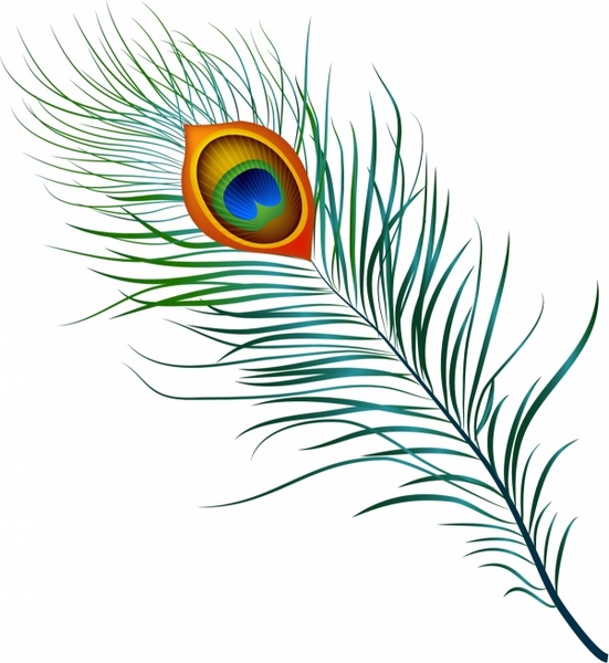 Peacock Feather Free Vector In Adobe Illustrator 551x600 Peacock Feather Free Vector In Adobe Illustrator