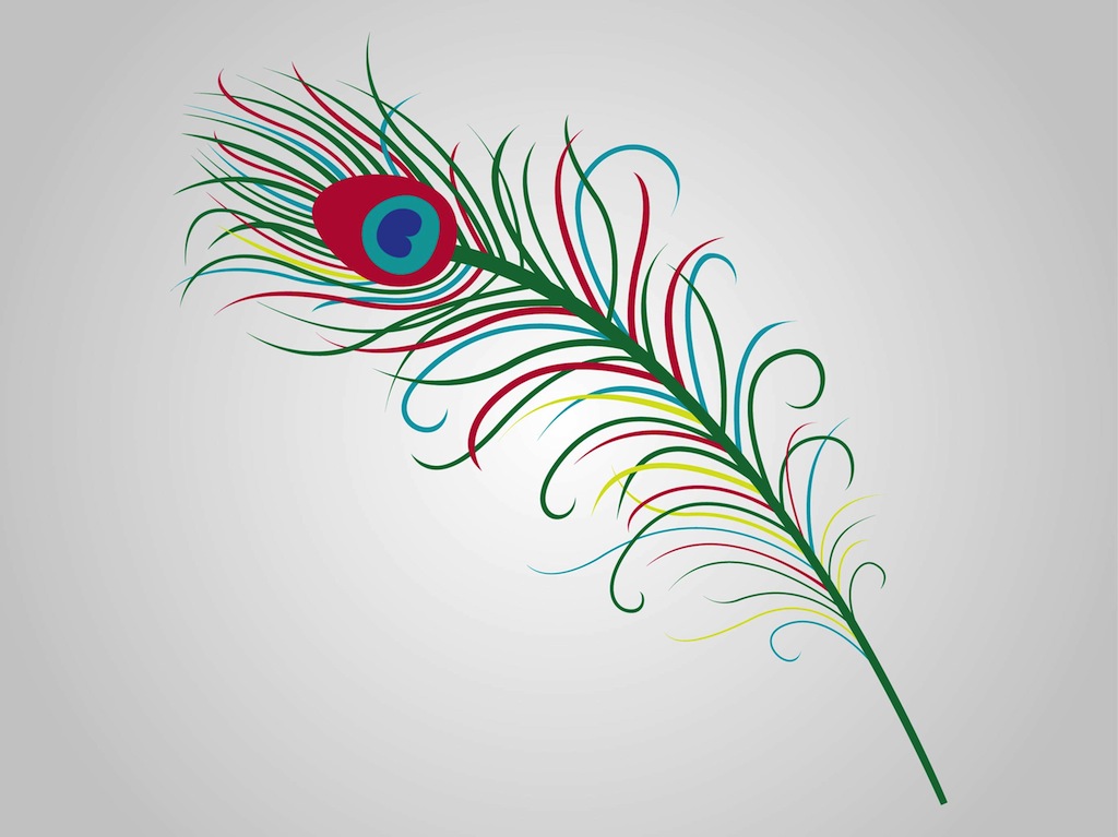 Peacock Feather Vector Art Graphics 1024x767 Peacock Feather Vector Art Graphics