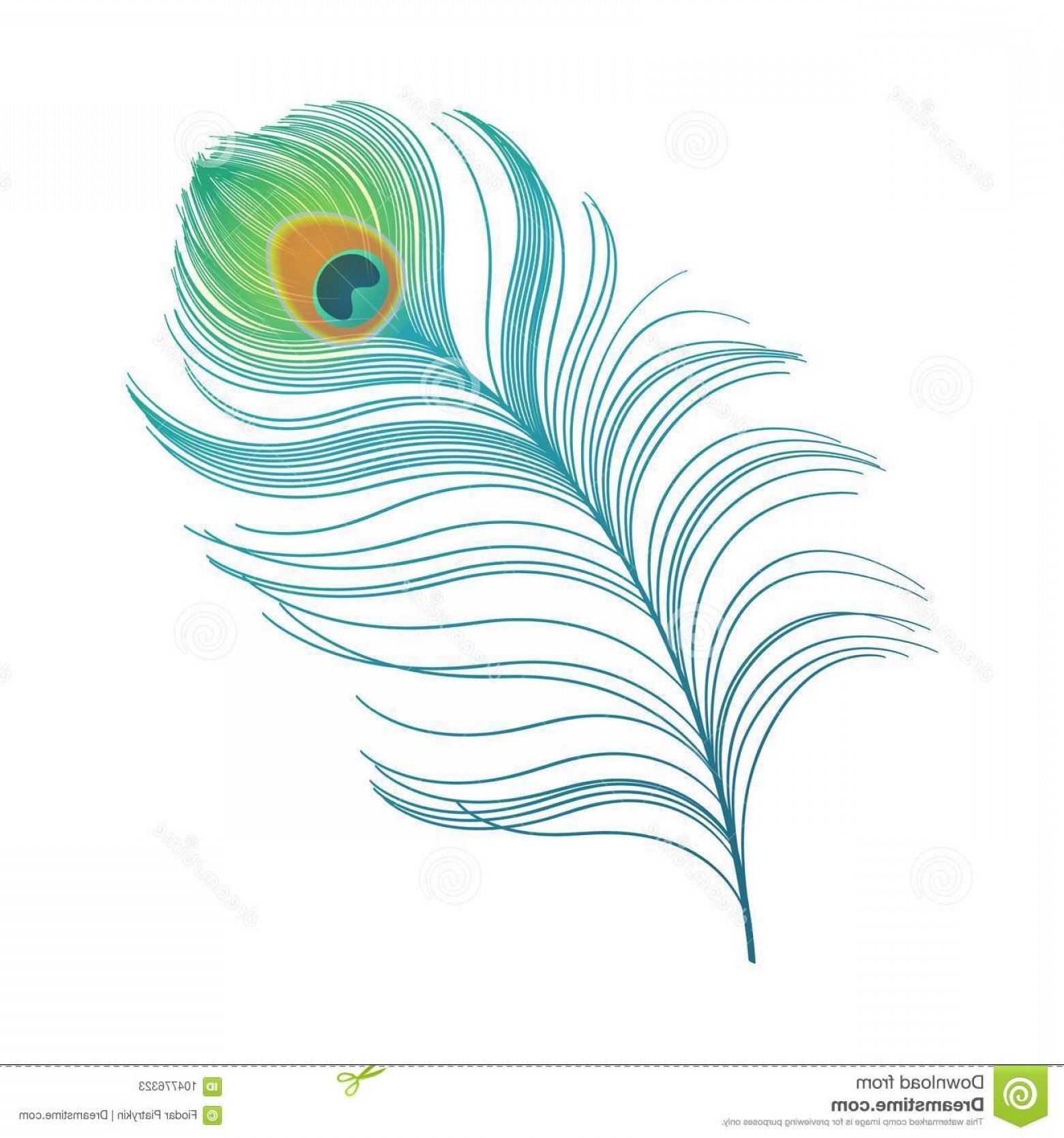 1560x1668 Peacock Plume Colorful Feather Vector Peacock Plume Colorful
