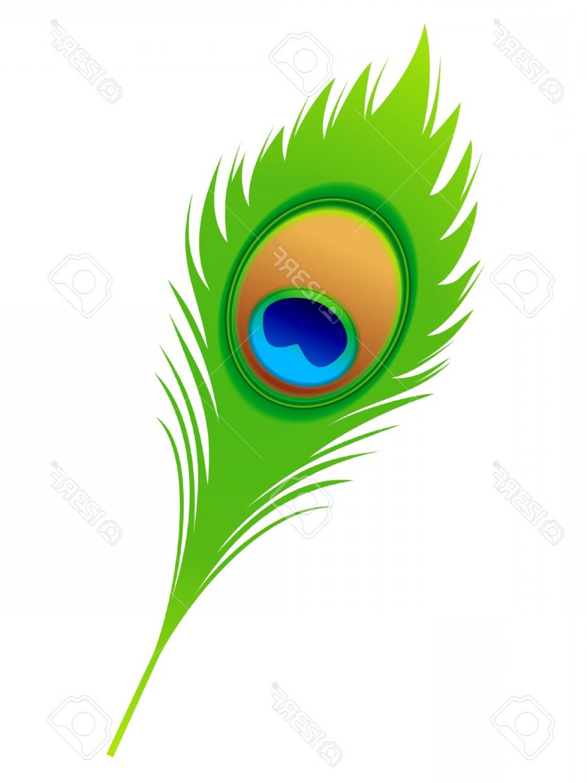 Photoabstract Artistic Peacock Feather Vector Illustration Soidergi 1170x1560 Photoabstract Artistic Peacock Feather Vector Illustration Soidergi