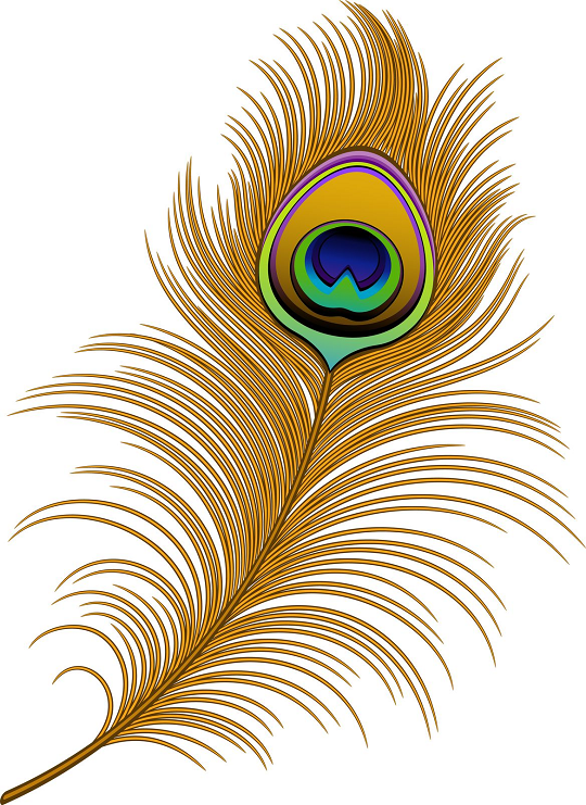540x741 Vector Peacock Feather Clip Art Peacock Feather Patterns