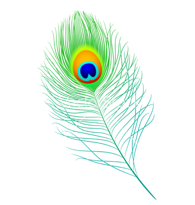 Peacock Feather Vector Bellyrhythm 380x400 Peacock Feather Vector Bellyrhythm