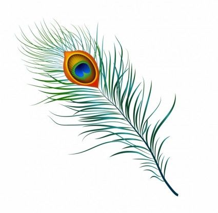 Free Vector Peacock Feather Free Vector Download 425x415 Free Vector Peacock Feather Free Vector Download