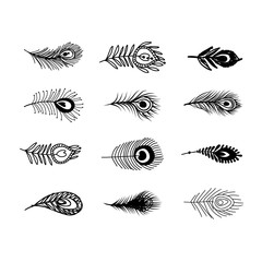 Peacock Feather Outline Photos, Royalty Free Images, Graphics 240x240 Peacock Feather Outline Photos, Royalty Free Images, Graphics