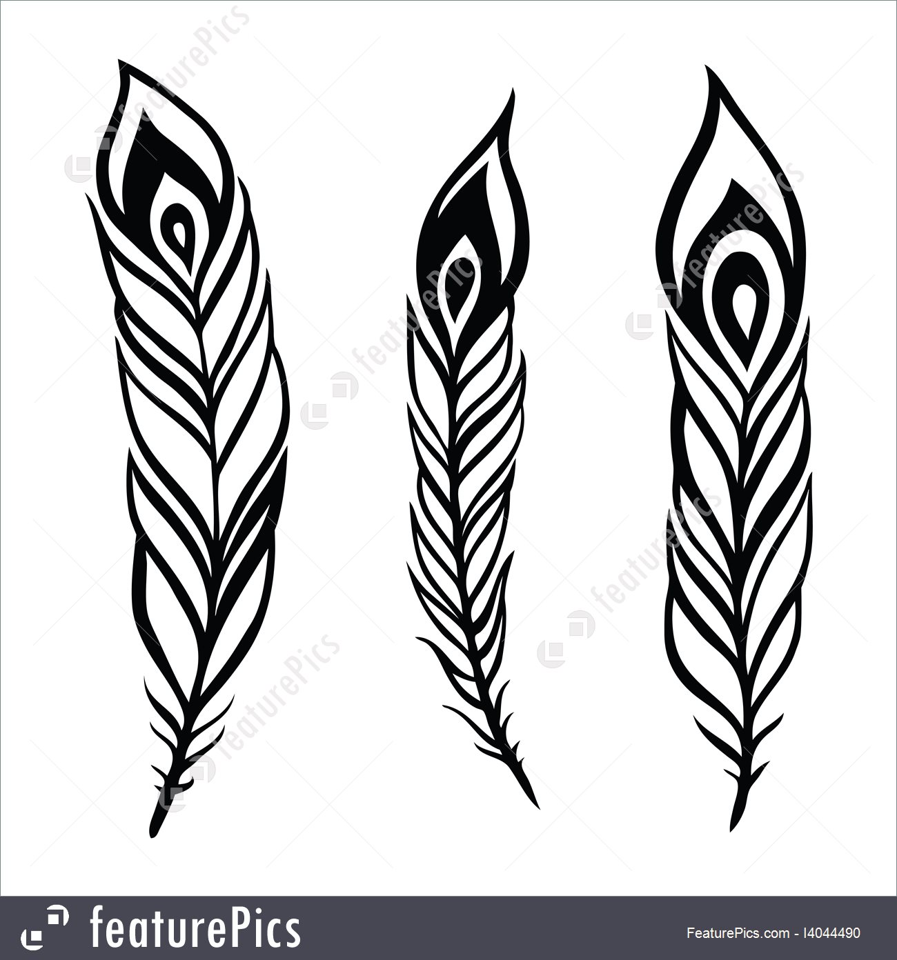 Peacock Feather Set Illustration 1300x1392 Peacock Feather Set Illustration