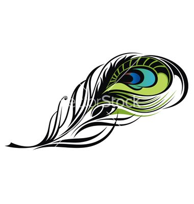 Peacock Feather Vector Images In Collection 380x400 Peacock Feather Vector Images In Collection