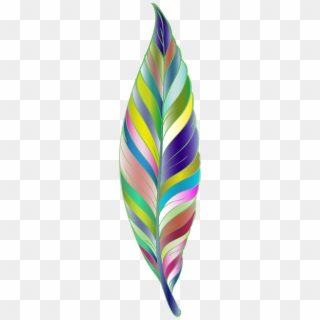 Peacock Feather Vector Png Images, Free Transparent Image Download 320x320 Peacock Feather Vector Png Images, Free Transparent Image Download