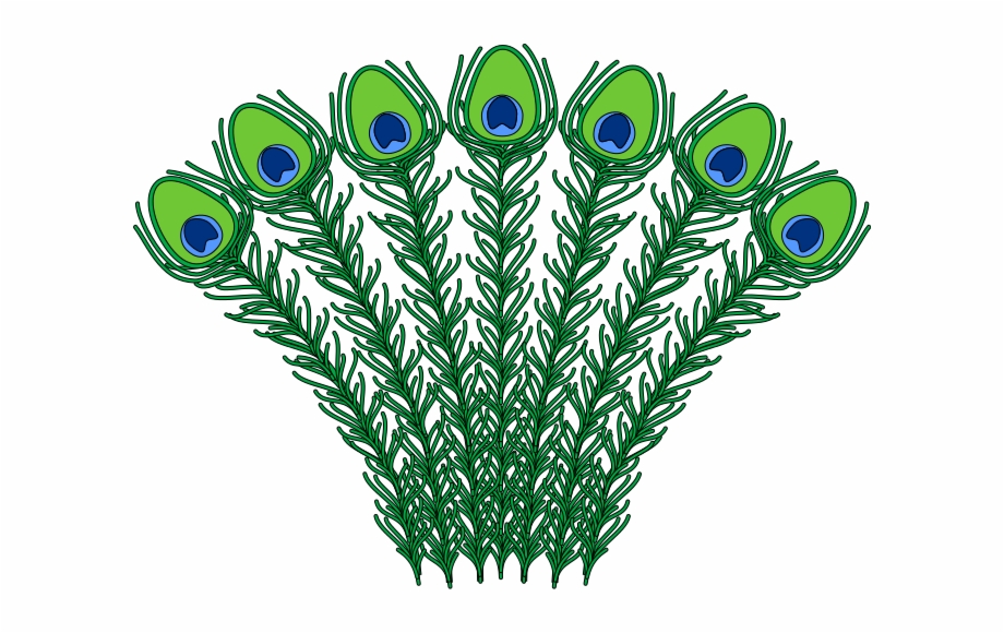Heraldic Peacock Feathers 920x580 Heraldic Peacock Feathers