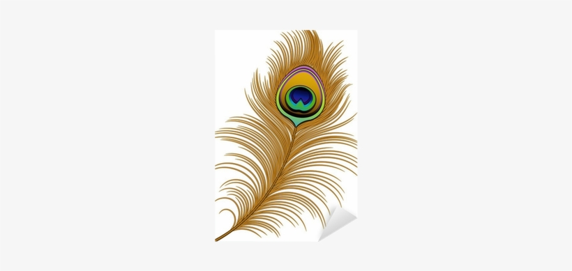 Peacock Feather Vector Png Png Image Transparent Png Free 820x389 Peacock Feather Vector Png Png Image Transparent Png Free