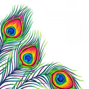 Peacock Feather Vector Vectors Photos And Catamart 300x300 Peacock Feather Vector Vectors Photos And Catamart