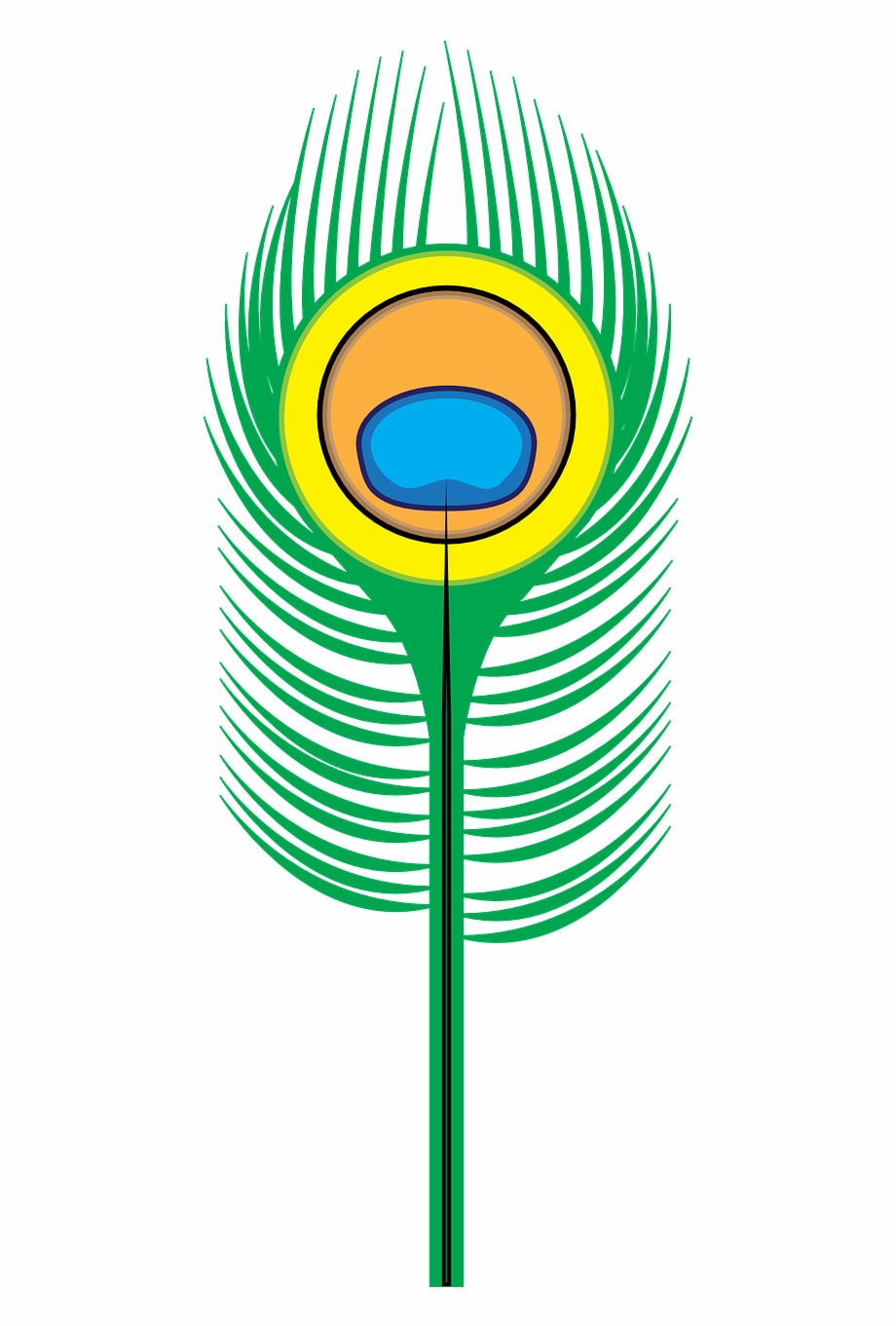 Peacock Vector Graphics,free Pictures 920x1361 Peacock Vector Graphics,free Pictures