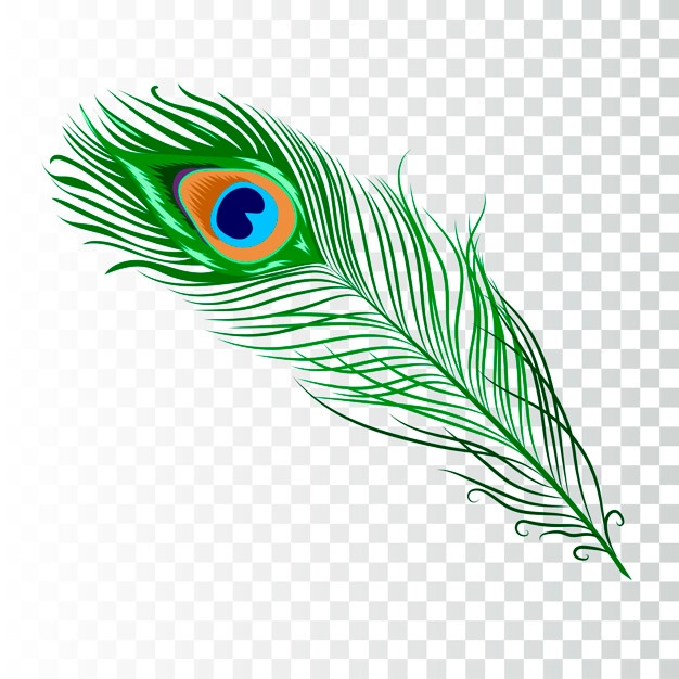Peacock Vectors, Photos And Free Download 626x626 Peacock Vectors, Photos And Free Download