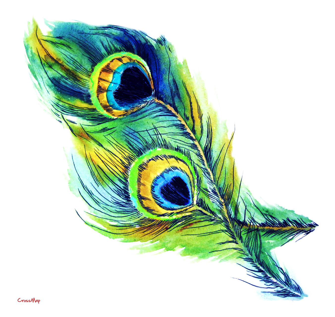 Peacock Clipart Feather For Free Download And Use Images 1353x1281 Peacock Clipart Feather For Free Download And Use Images
