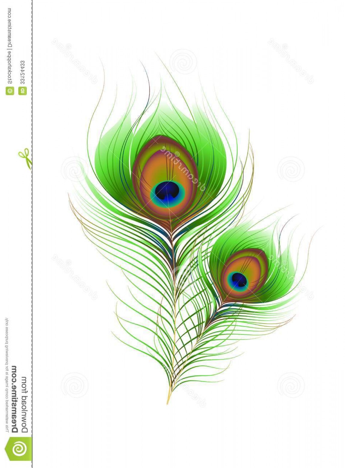 Stock Photos Colorful Peacock Feather Vector Illustration Against 1148x1560 Stock Photos Colorful Peacock Feather Vector Illustration Against